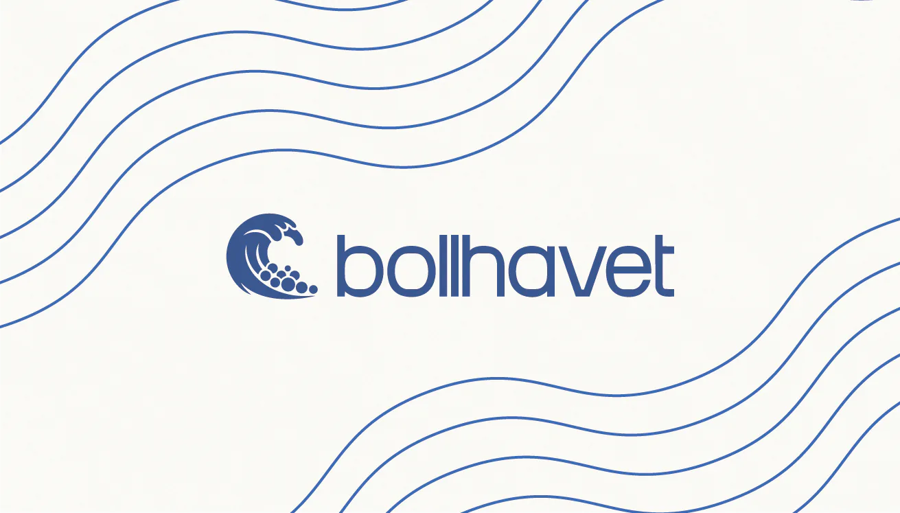 Bollhavet är det enda nätverket du faktiskt kommer använda